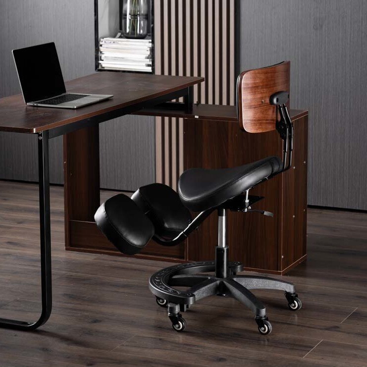 Kursi Ergonomis yang Dapat Dis - Office Chair ulasan dan harga